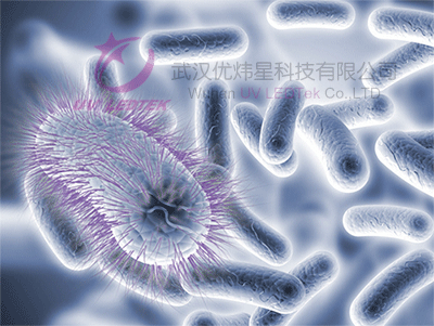 Sterilization characteristics of UVC